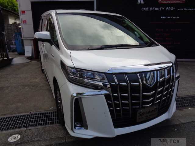2020 Toyota Alphard G