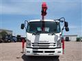 2019 Isuzu Isuzu Others