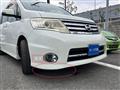 2010 Nissan Serena