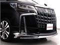 2019 Toyota Alphard G
