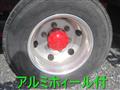 2013 Mitsubishi Fighter