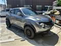 2011 Nissan Juke