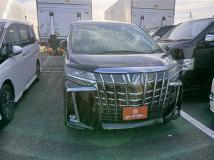 2020 Toyota Alphard G