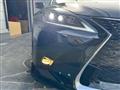 2010 Lexus IS