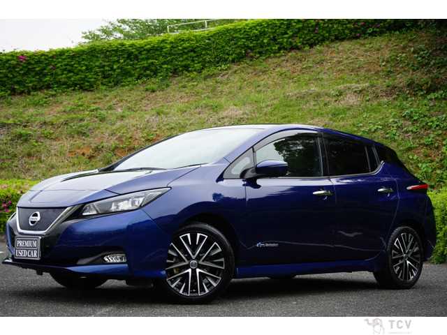 2019 Nissan Nissan Others