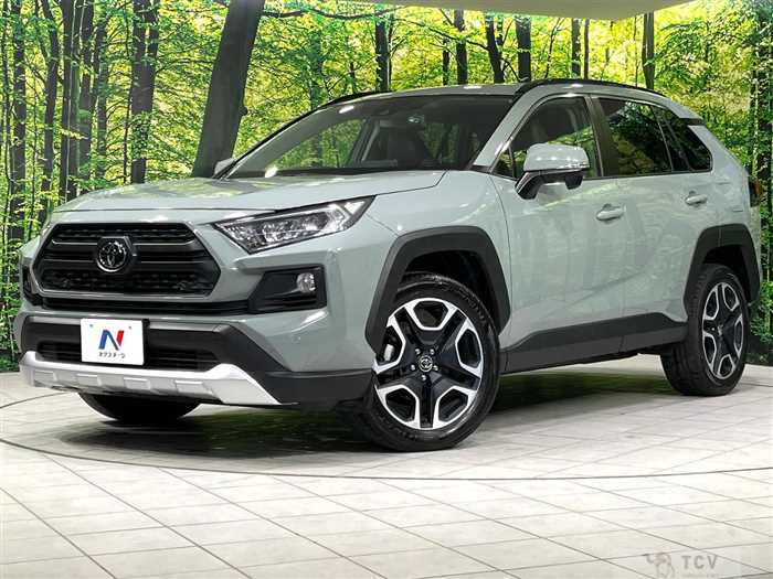2019 Toyota RAV4