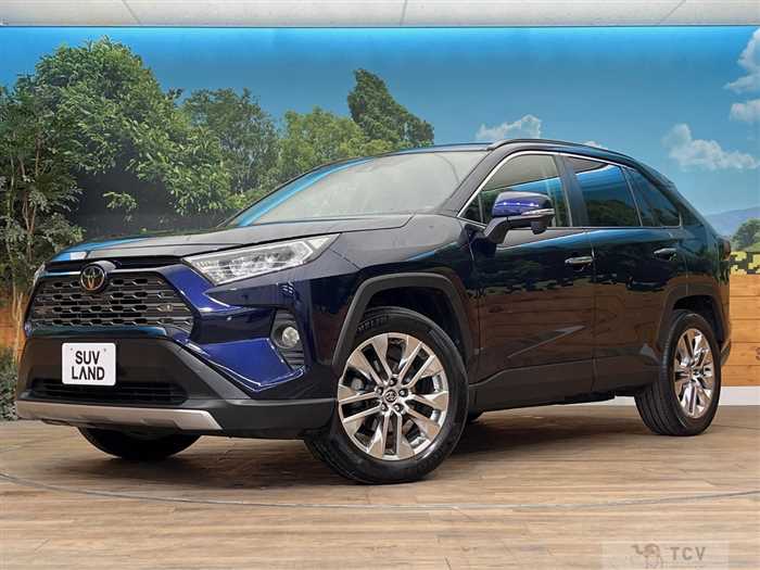 2019 Toyota RAV4