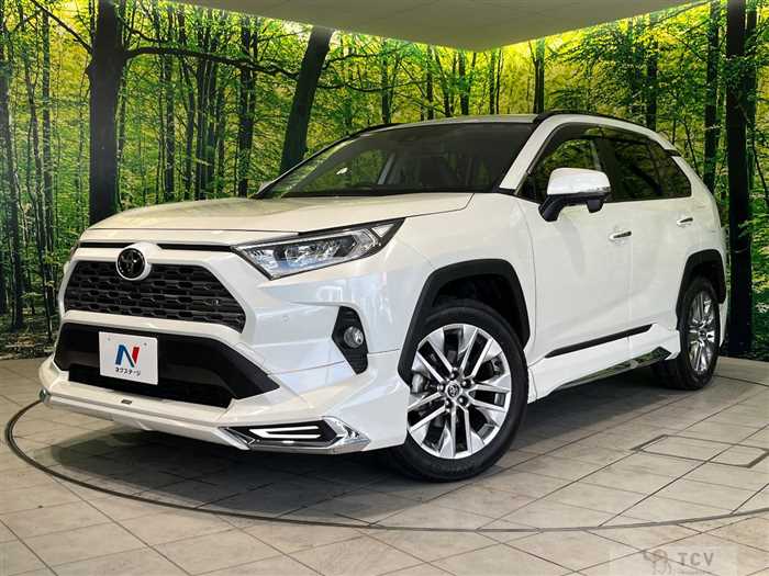 2019 Toyota RAV4