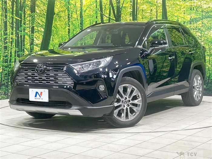 2020 Toyota RAV4