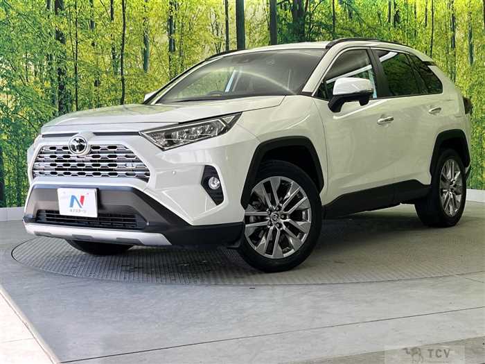 2020 Toyota RAV4
