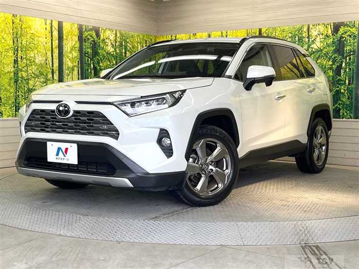 2019 Toyota RAV4