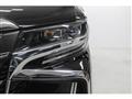 2019 Toyota Alphard G