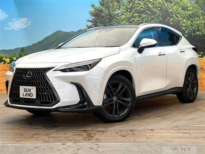 2024 Lexus NX