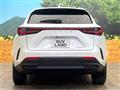 2024 Lexus NX