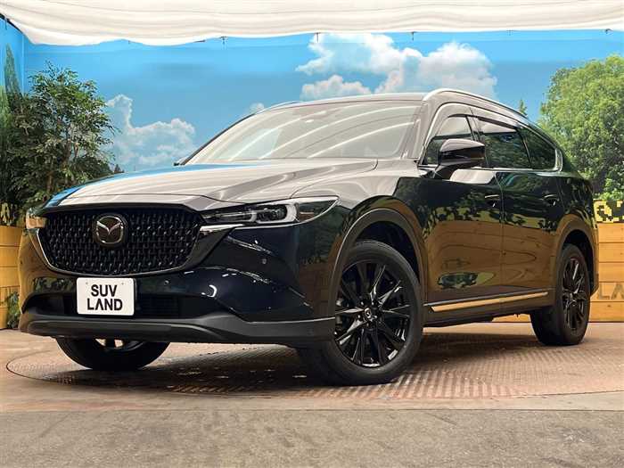 Mazda CX-8 2023 — миниатюра 2