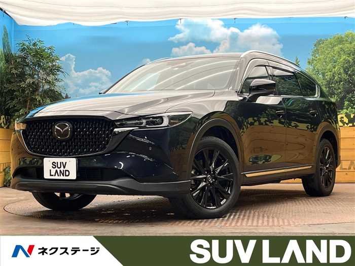 Mazda CX-8 2023 — миниатюра 5