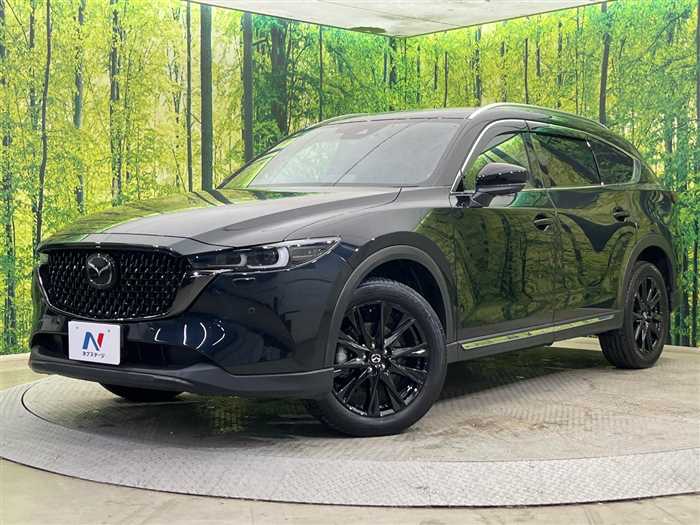 Mazda CX-8 2023 — миниатюра 2