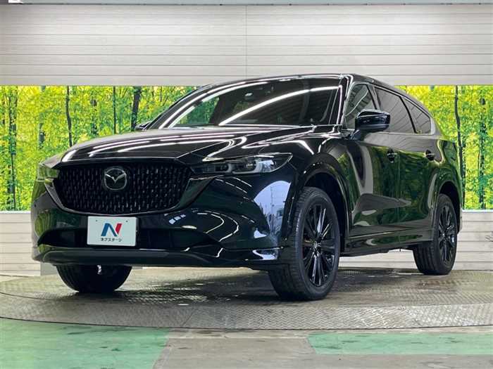 Mazda CX-8 2023 — фото 6 купить в Москве