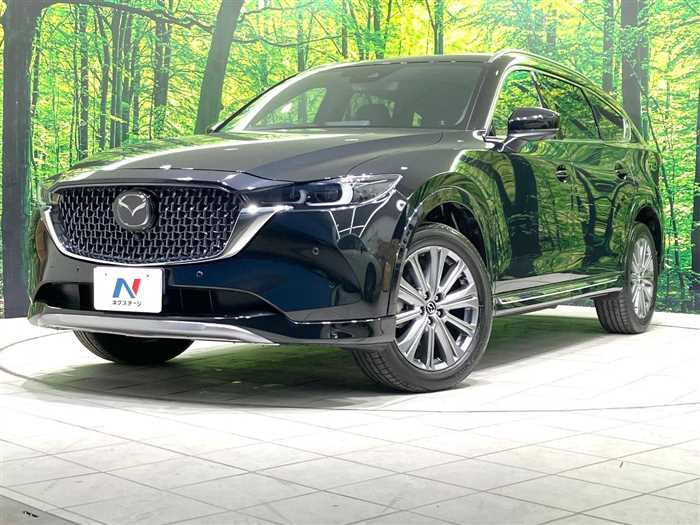 Mazda CX-8 2023 — миниатюра 2