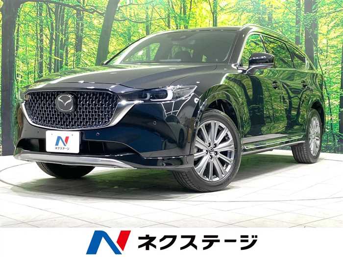 Mazda CX-8 2023 — миниатюра 5