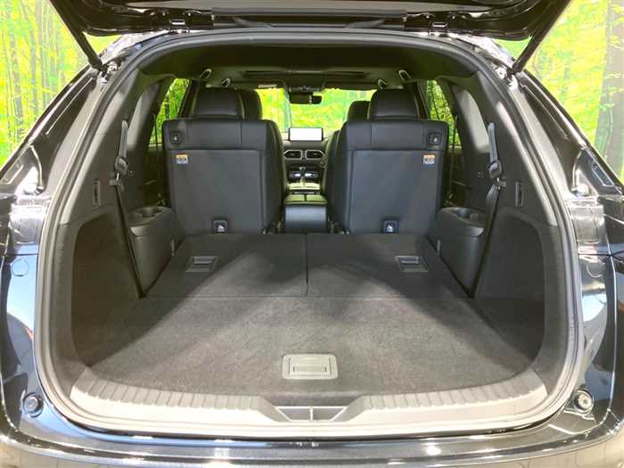 Mazda CX-8 2023 — миниатюра 8