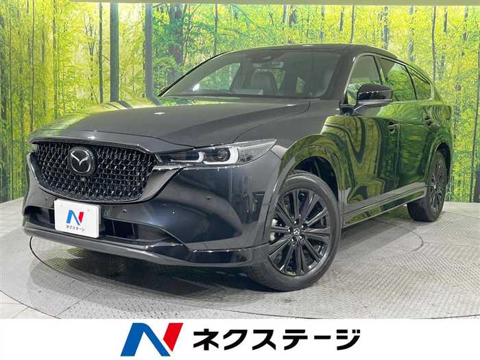 Mazda CX-8 2023 — фото 5 купить в Москве