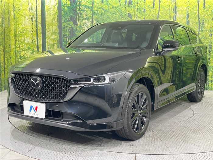 Mazda CX-8 2023 — фото 6 купить в Москве