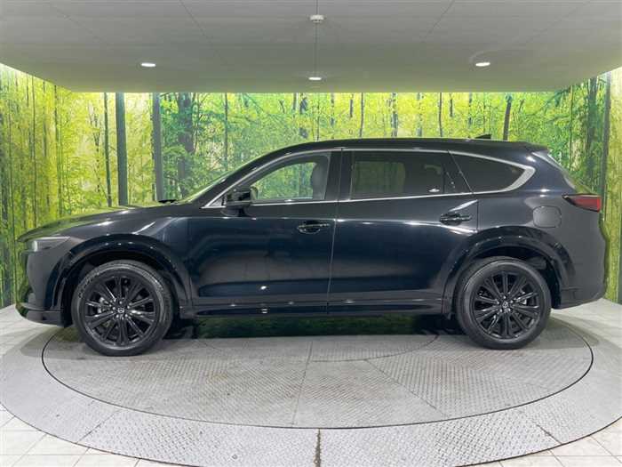 Mazda CX-8 2023 — фото 7 купить в Москве