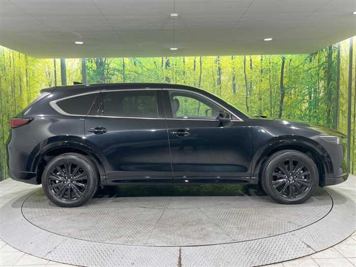 Mazda CX-8 2023 — фото 11 купить в Москве