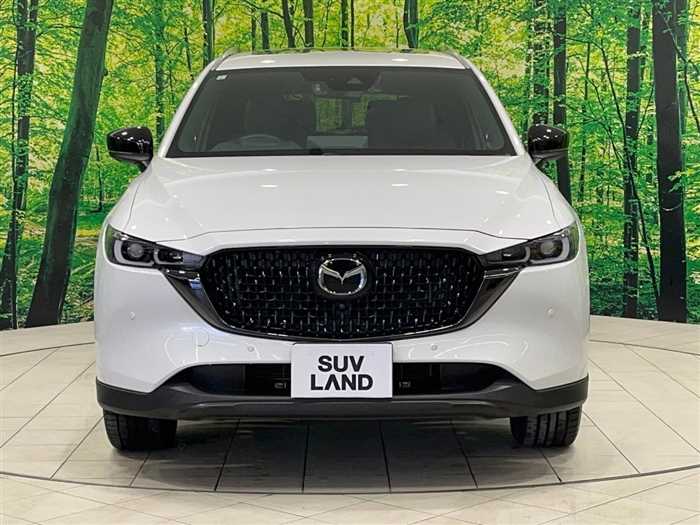 Mazda CX-8 2023 — фото 6 купить в Москве