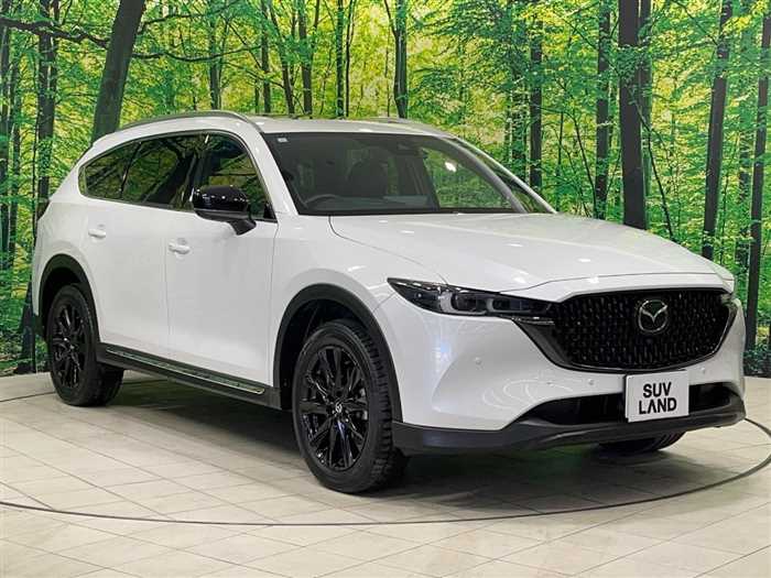 Mazda CX-8 2023 — фото 7 купить в Москве