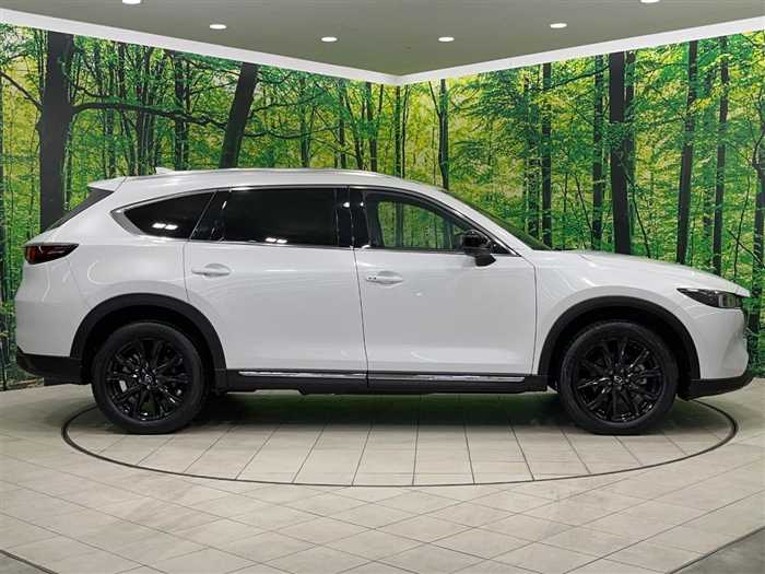 Mazda CX-8 2023 — фото 8 купить в Москве