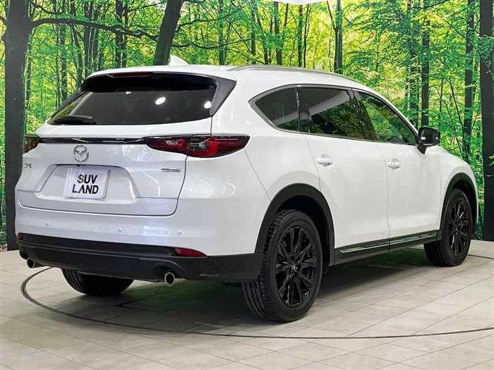 Mazda CX-8 2023 — фото 9 купить в Москве