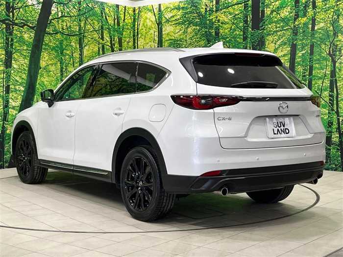 Mazda CX-8 2023 — фото 11 купить в Москве