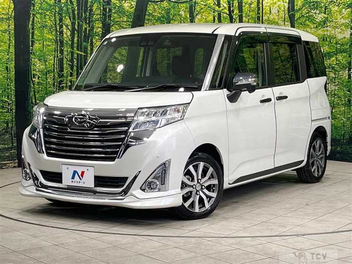 2019 Daihatsu Daihatsu Others