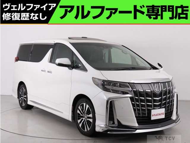 2019 Toyota Alphard G