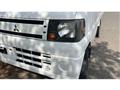 2010 Mitsubishi Minicab Truck