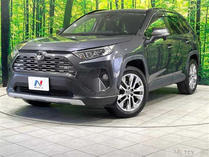2019 Toyota RAV4
