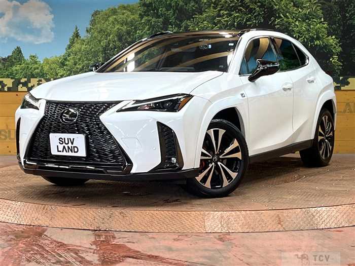 2023 Lexus Other