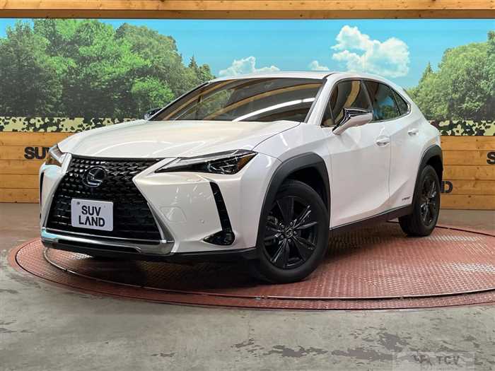 2020 Lexus Other