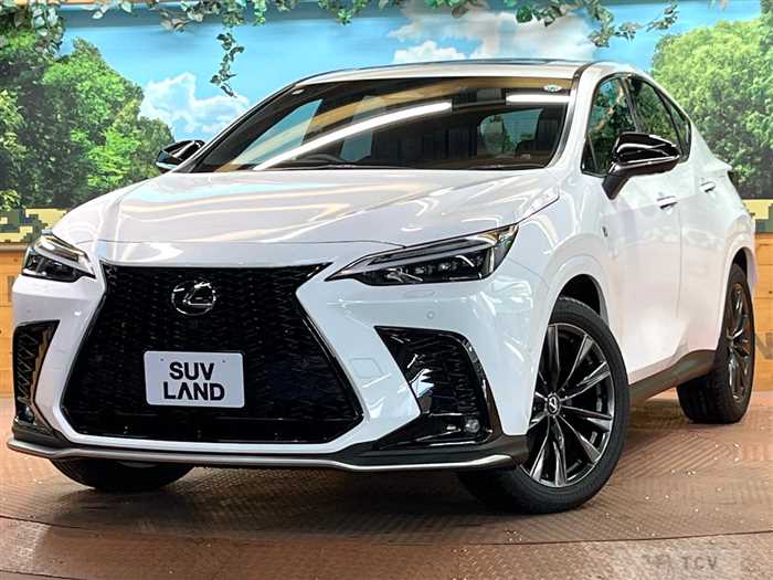 2024 Lexus NX
