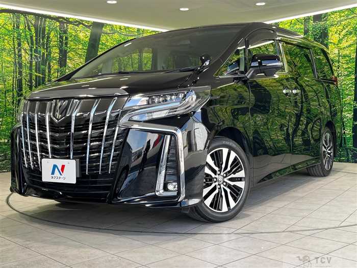 2019 Toyota Alphard