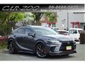 2025 Lexus RX