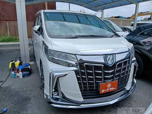 2019 Toyota Alphard G