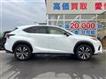 2018 Lexus NX