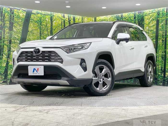 2019 Toyota RAV4