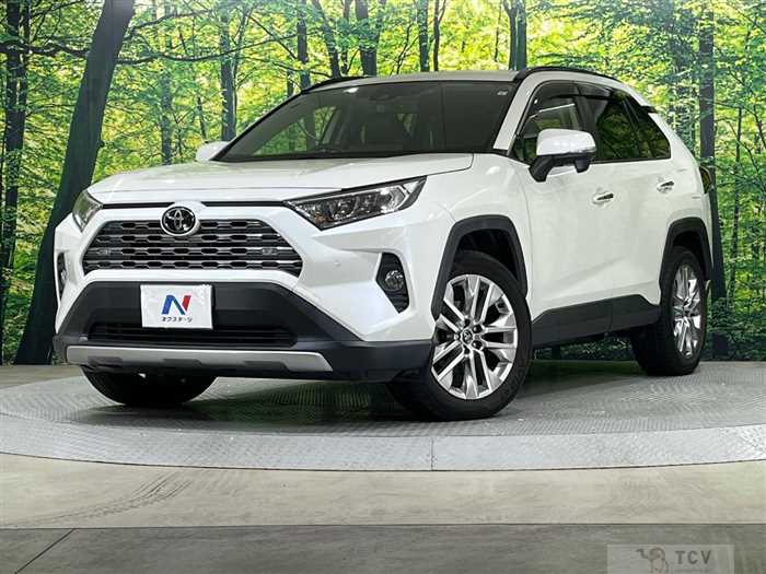 2019 Toyota RAV4