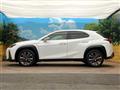 2019 Lexus Other