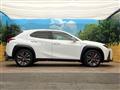 2019 Lexus Other