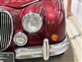 1995 Mitsuoka Viewt
